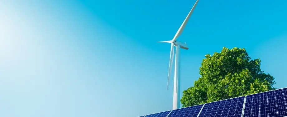 Energy & Renewables